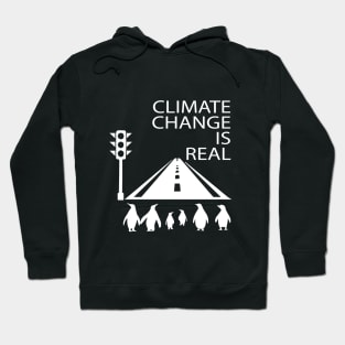 climate change is real is really Hoodie